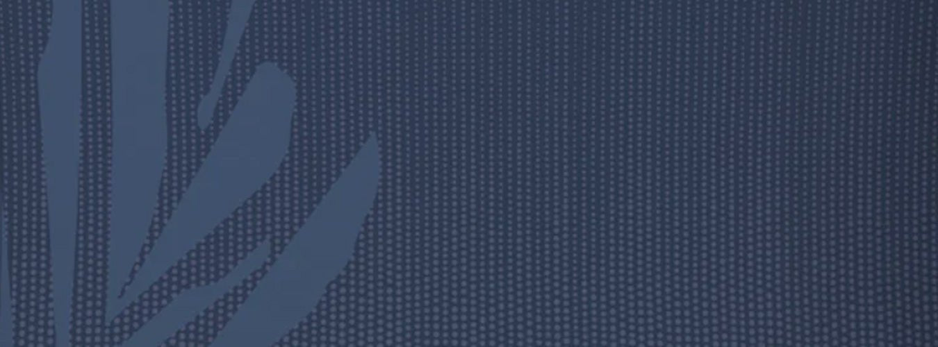 The Hōʻolu Hiamoe Collection Banner Closeup of the Kanu Euro Sham