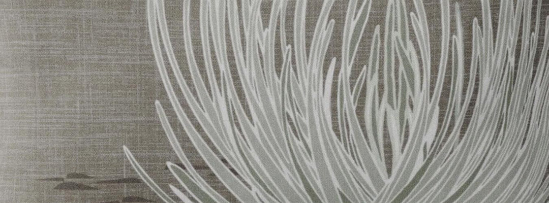 The Meakanu ʻŌiwi Collection Banner Showcasing the ʻĀhinahina Silversword Plant
