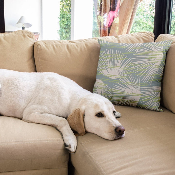 Light Blue Loulu Square Pillow Set On a Beige Couch With a Dog Lying 
